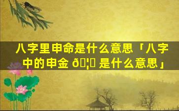 八字里申命是什么意思「八字中的申金 🦆 是什么意思」